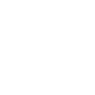 White BRIC logo